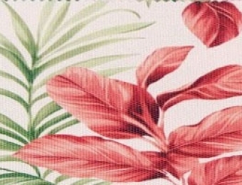Tropicana 10